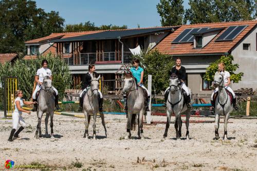 Silver Horse Ranch