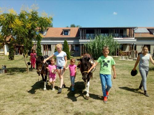 Exterior view, Silver Horse Ranch in Békés