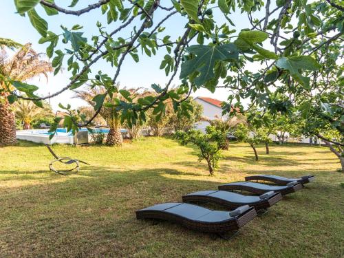 Gorgeous Holiday Home in Bibinje near Sea - image 5
