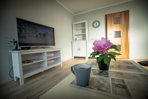 外部景觀, JDK Apartamenty Podmiejska 38m2 5-osobowy in 卡利什