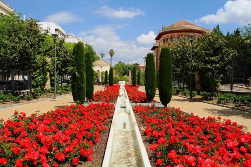 Apartamento Altar del Cielo, Córdoba (foto 5)