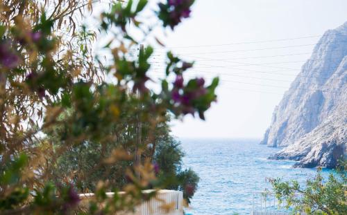 Sail Inn Studios & Apartments - image 11