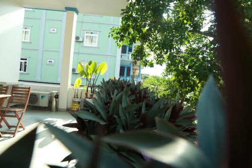 Thien Thanh Hotel in Phong Nha