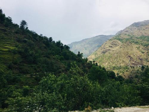 Photo of Arjun Homestay