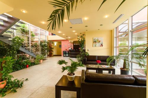 Hotel Torontal - image 7
