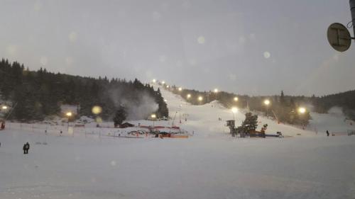 Le Renne Blanc Pyrénées de France Le Renne Blanc Pyrénées de France