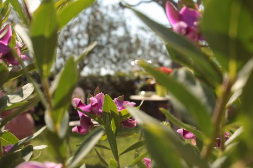 Il Baiocco chambre d'hôte Monte Urano