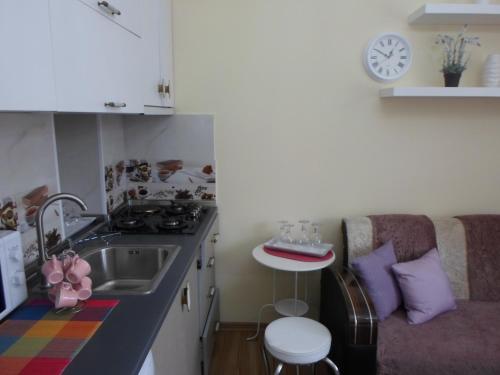 Apartment Sokol