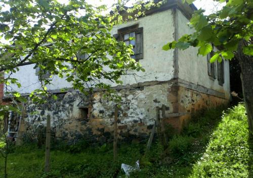 Ekolojik Güney Köy Pembe Köşk