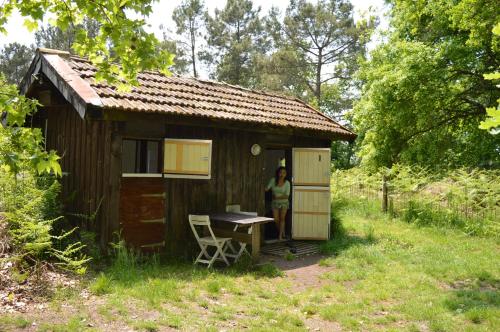 photo chambre Cabane en forêt