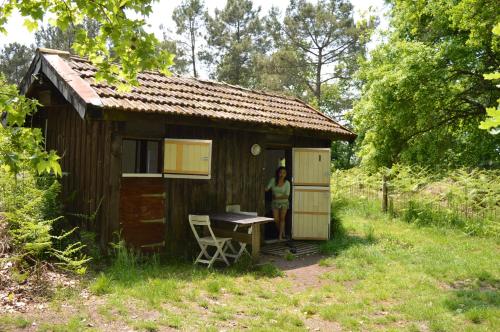 Cabane en forêt gîte à louer Sindères