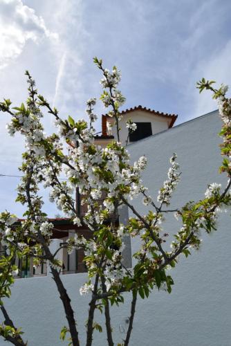 Casa do Chão do Ribeiro