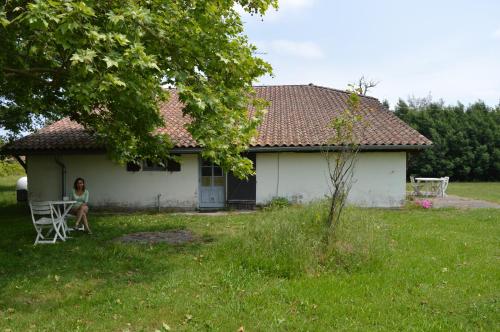 Cabane en foret