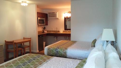 Deluxe Efficiency Room with Stovetop & Microwave