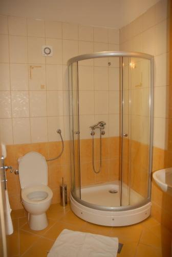 Villa Park - image 5
