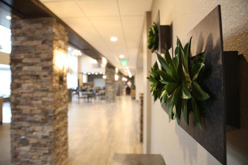 Berlin Encore Hotel & Suites - 로비