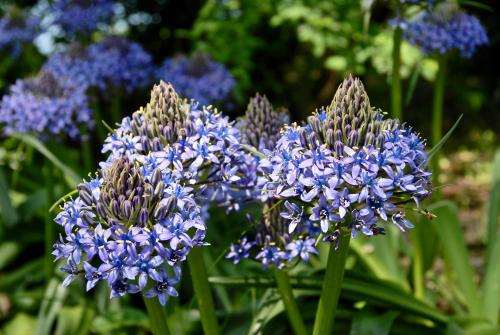 Domaine de Perches - image 4