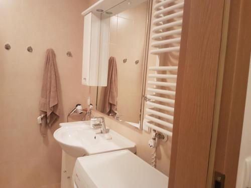 Apartament VIP Vęgoria