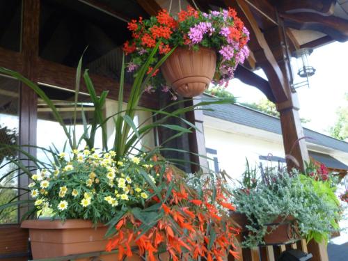 Citotel Hotel Restaurant Les Pins - image 11