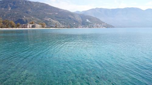 Blue View - image 11