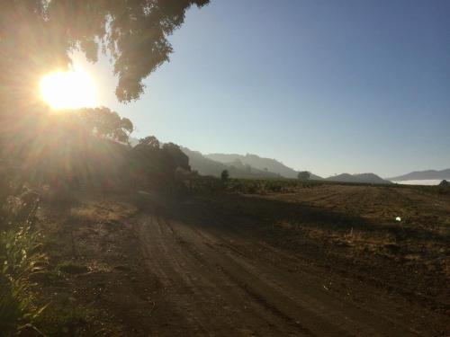 Rustridge Ranch & Winery - image 14