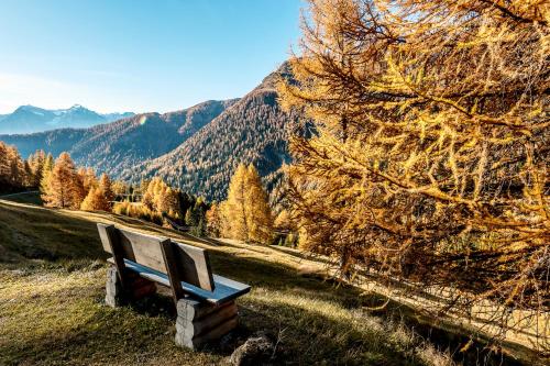 Alrededores, Ferienwohnung Fionas 267 in Ftan