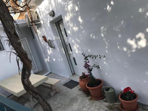  Villa Sofia - Mariou in Marioú