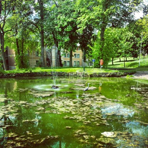 A környék, Jonas Hotel in Sheffield