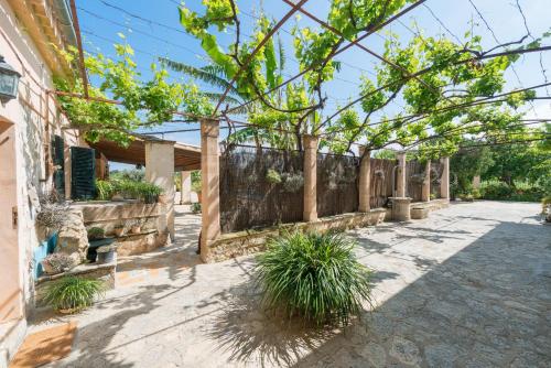 Finca - Agroturismo Sa Parellada - image 10