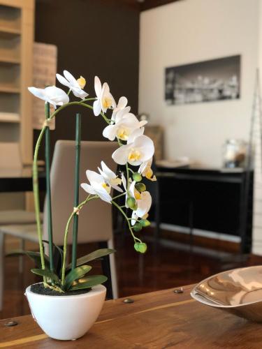  Mundo-Abeona in Tudela