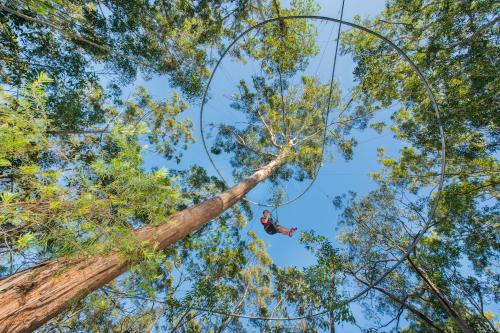 Center Parcs Park Allgäu Center Parcs Park Allgäu