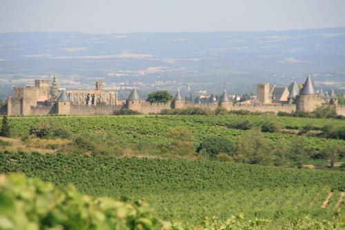 La Maison sur la Colline - image 3