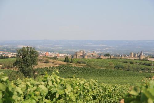 La Maison sur la Colline - image 3
