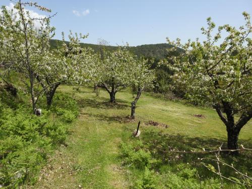 Casa Rural Arbillas - image 3