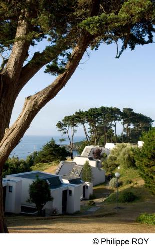 VVF Villages « La Plage des Grands Sables » Île-de-Groix photo 19