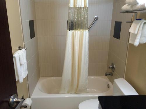 Cityview Inn & Suites Downtown /RiverCenter Area in San Antonio, USA