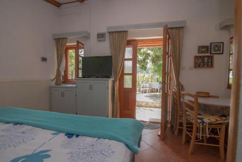 Roberto 1 - image 8