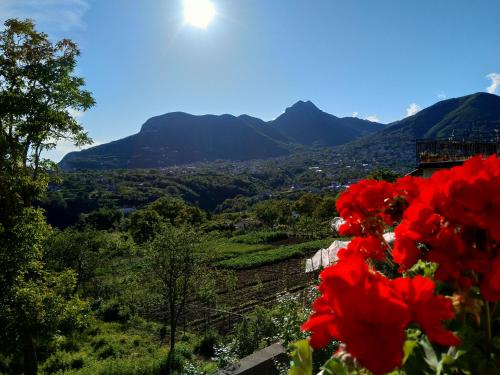 Jerula B&B, Agerola (fotografie 2)