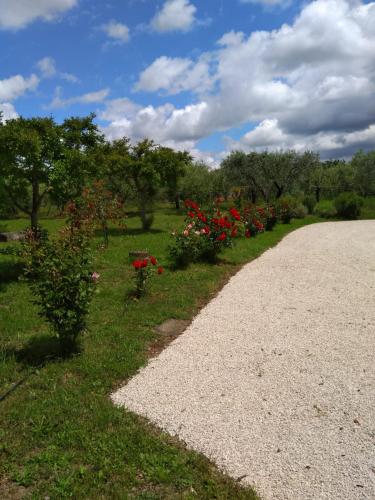 Jardín, Casa Vacanze Le Rose in Ariccia