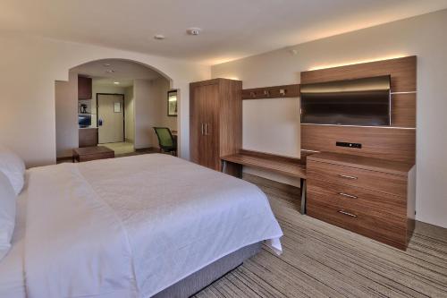 Holiday Inn Express & Suites Portales an IHG Hotel - image 2