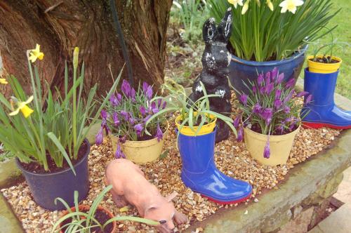 The Boot Inn - image 10