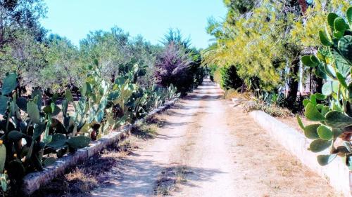  Villa in Salento: il mare, il sole e il vento., Pension in Copertino