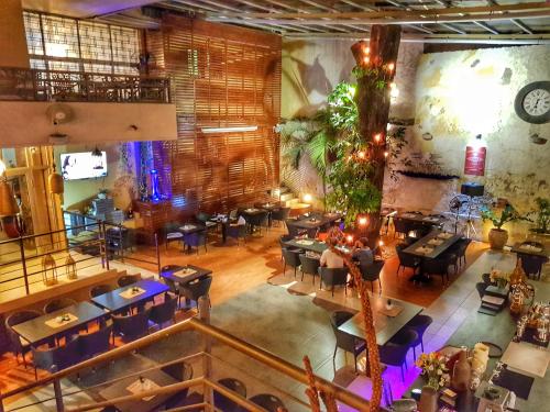 花園, Allamanda Hotel in 北迪維耶