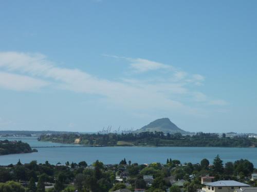 Up in the stars B&B - Accommodation - Tauranga