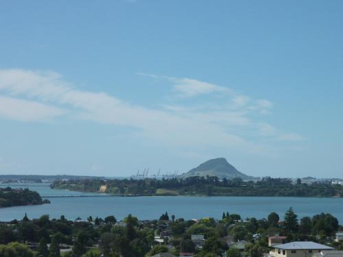Up in the Stars B&B Homestay, Tauranga