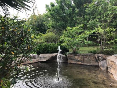 樹之間民宿 樟間 櫸間 in Dongshi distrikt