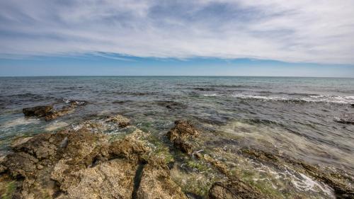 Morello Beach Hotel - image 3