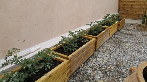 Casa Sofia, By Hellocrete Casa Sofia, By Hellocrete