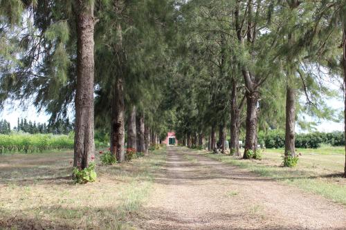 Tenuta Santa Rosa - image 5