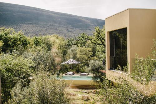 Cooking and Nature - Emotional Hotel - image 13